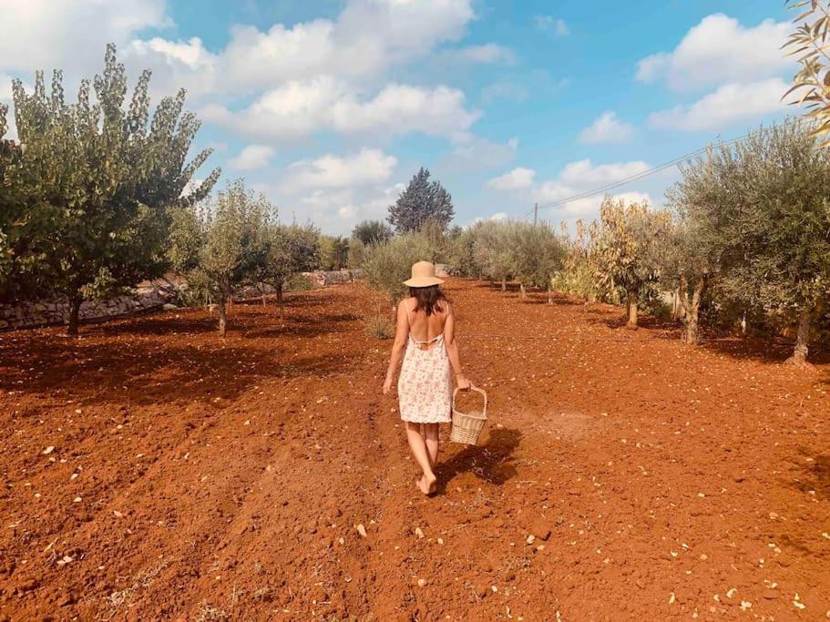 Al Pepe Nero - Casa In Campagna A Soli 5 Minuti Dal Mare Polignano a Mare Extérieur photo