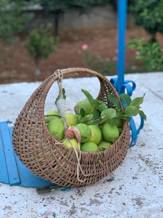 Al Pepe Nero - Casa In Campagna A Soli 5 Minuti Dal Mare Polignano a Mare Extérieur photo